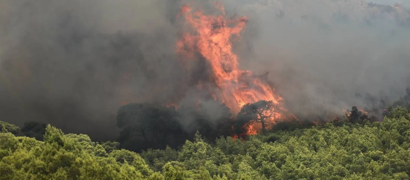 Υπό μερικό έλεγχο η φωτιά στην Κάρυστο - Συνελήφθη γυναίκα για εμπρησμό
